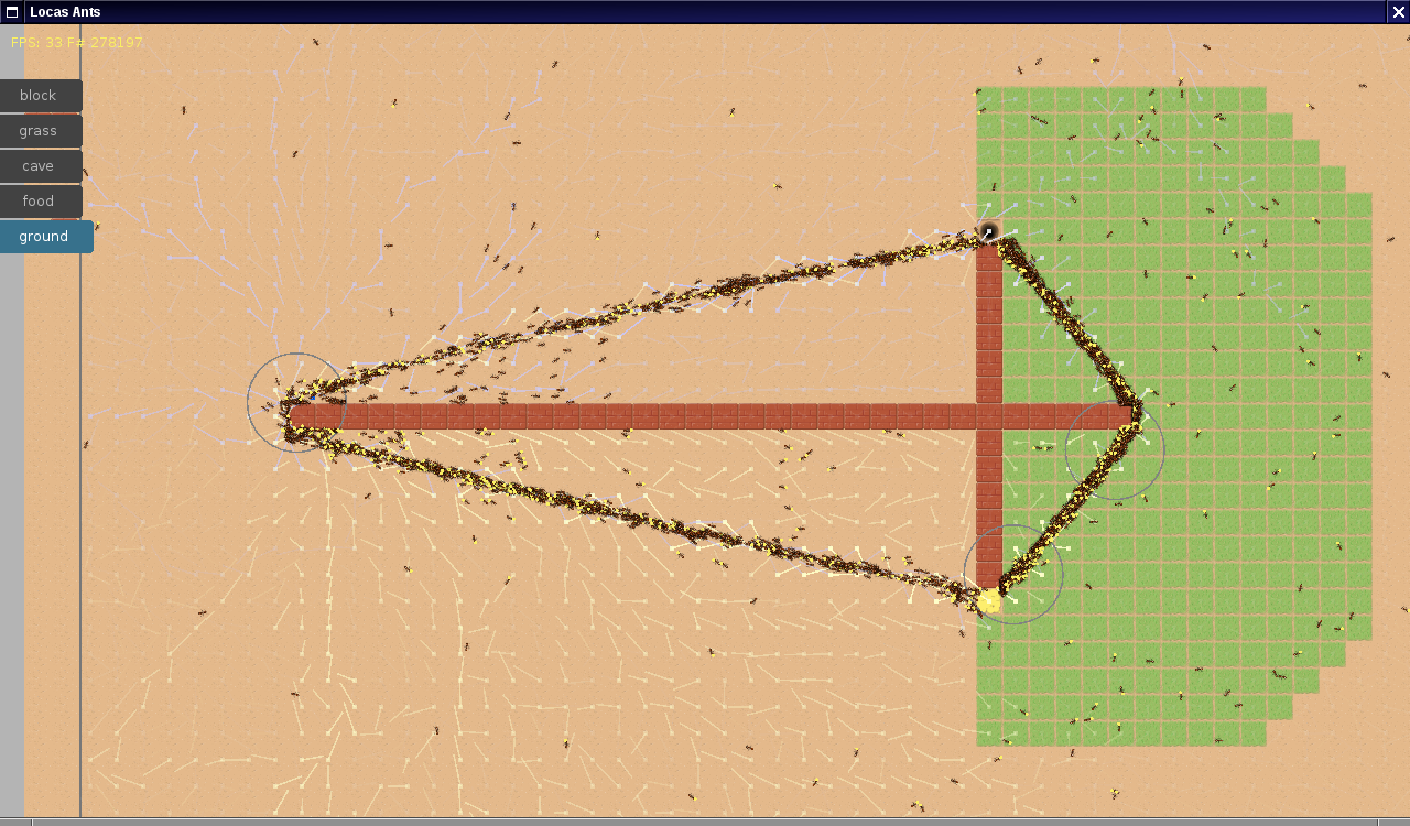 Ants-split-path.png