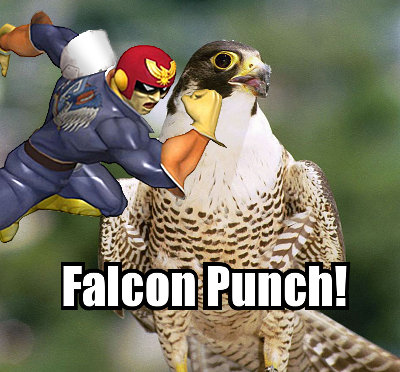 falconpunch.jpg