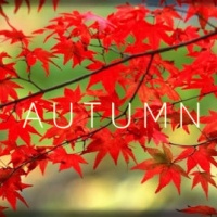 Autumn-square.jpg
